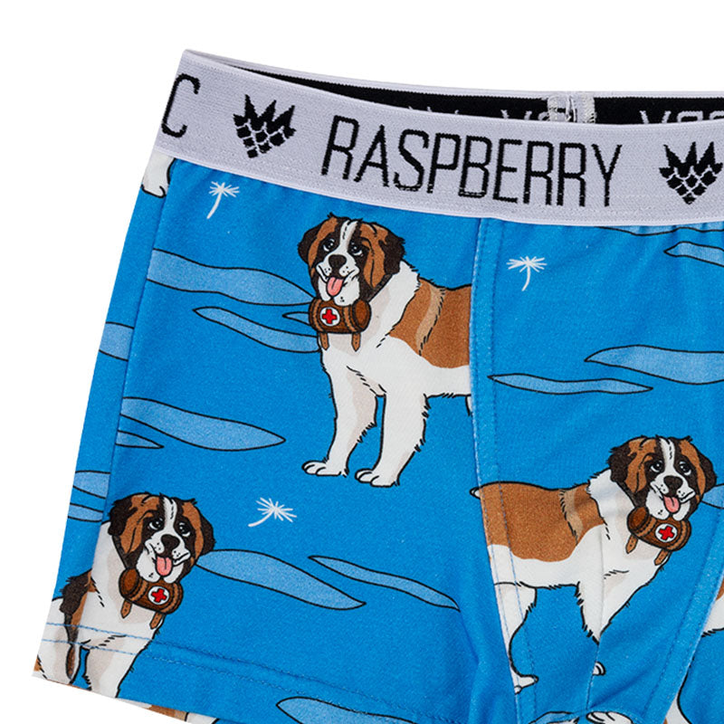 -30% off- Raspberry Republic Kids St Bernard Dogs Boxer Shorts - Blue