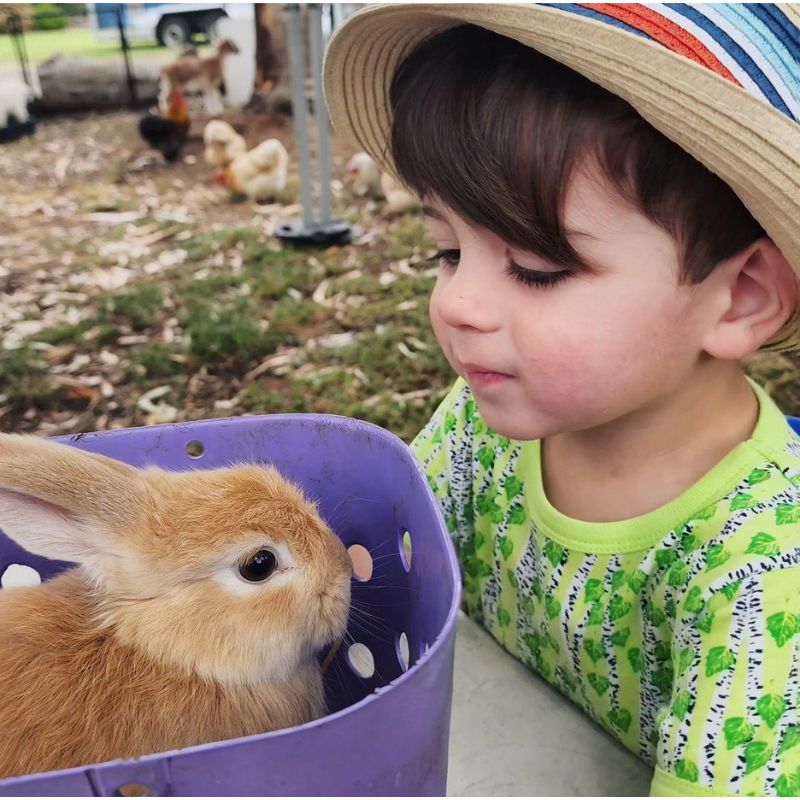 DUNS Sweden Kids Birch Tree T-shirt