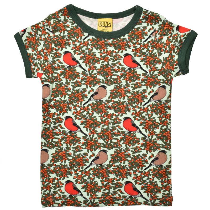 DUNS Sweden Kids Bullfinch Bird T-shirt - Honeydew Green