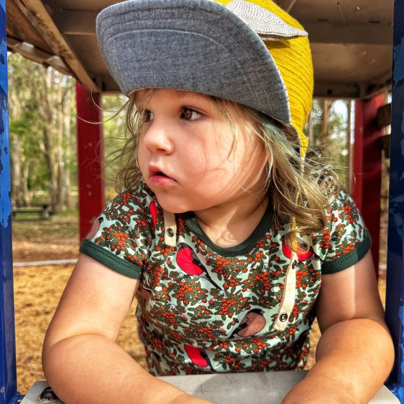 DUNS Sweden Kids Bullfinch Bird T-shirt - Honeydew Green