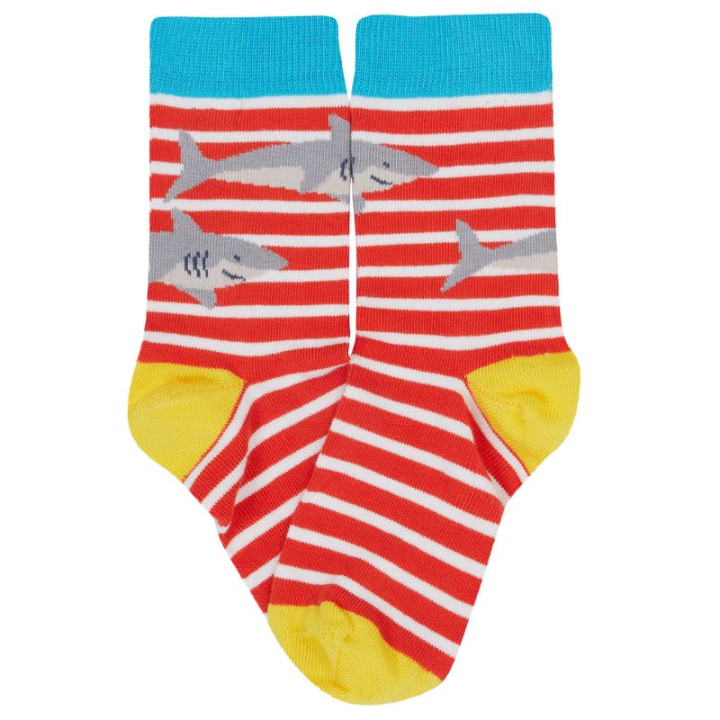 Striped socks with shark design on a white background