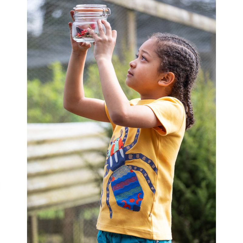 Frugi Carsen Appliqué T-shirt - Bumblebee/Peacock Spider