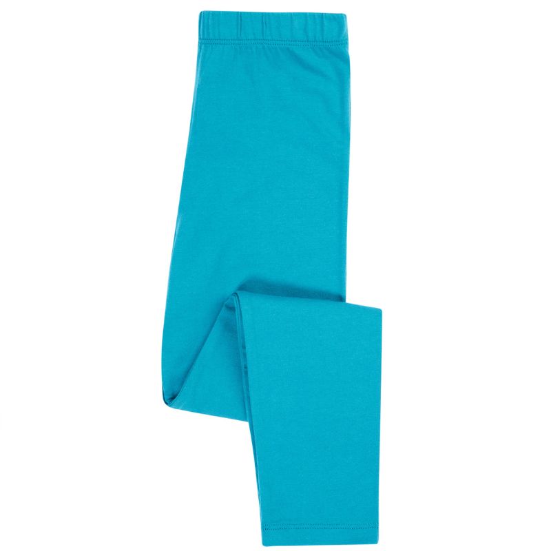 Turquoise leggings on a white background