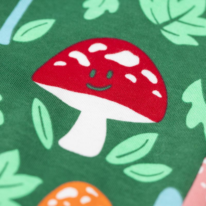 Red mushroom with a smiley face on a green background with leaves