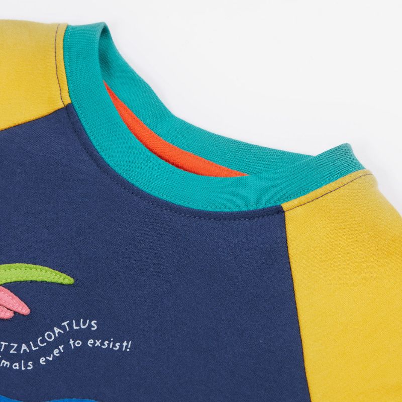 Frugi Renny Raglan T-shirt - Navy Blue/Dino