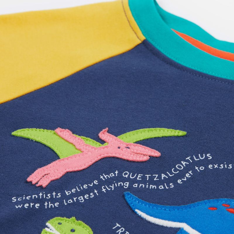Frugi Renny Raglan T-shirt - Navy Blue/Dino
