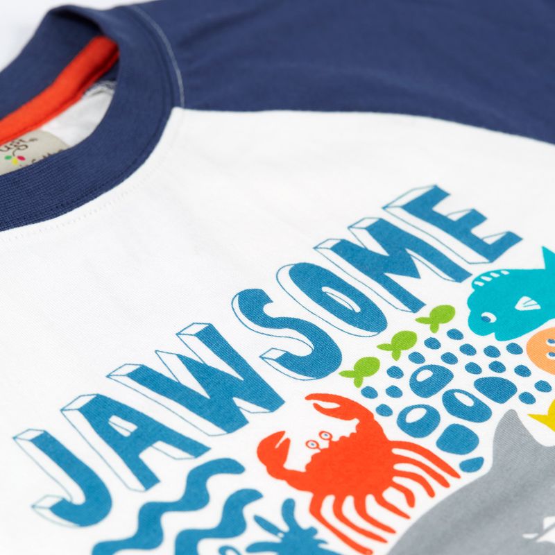Frugi Reid Raglan T-shirt - Soft White/Jawsome