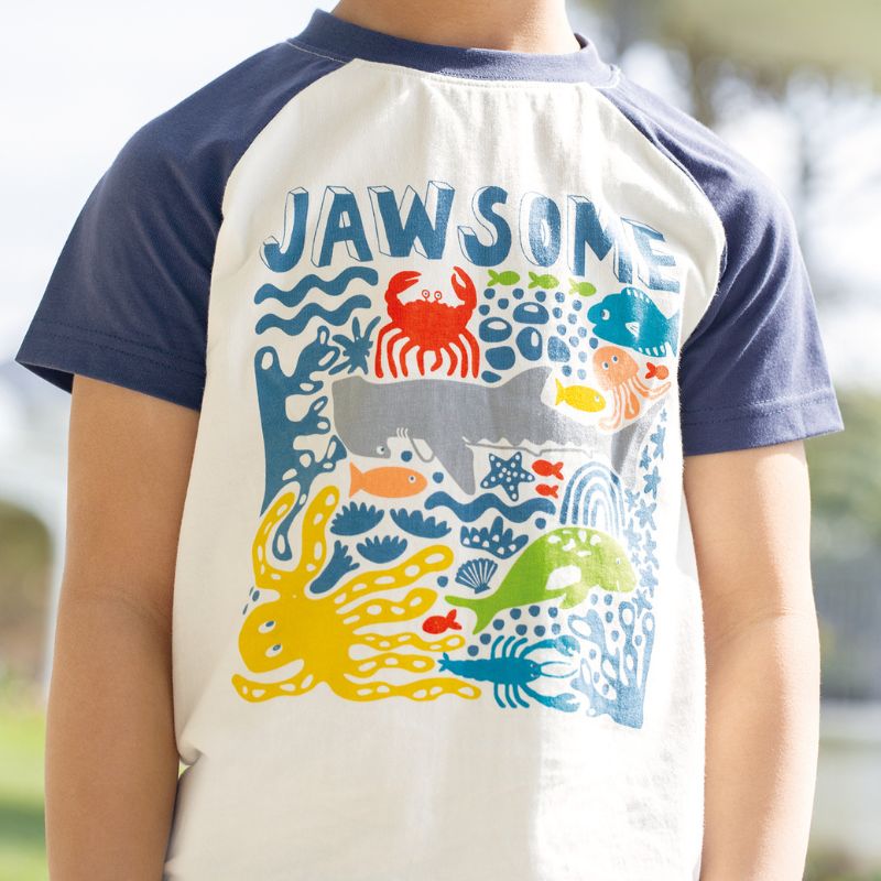 Frugi Reid Raglan T-shirt - Soft White/Jawsome