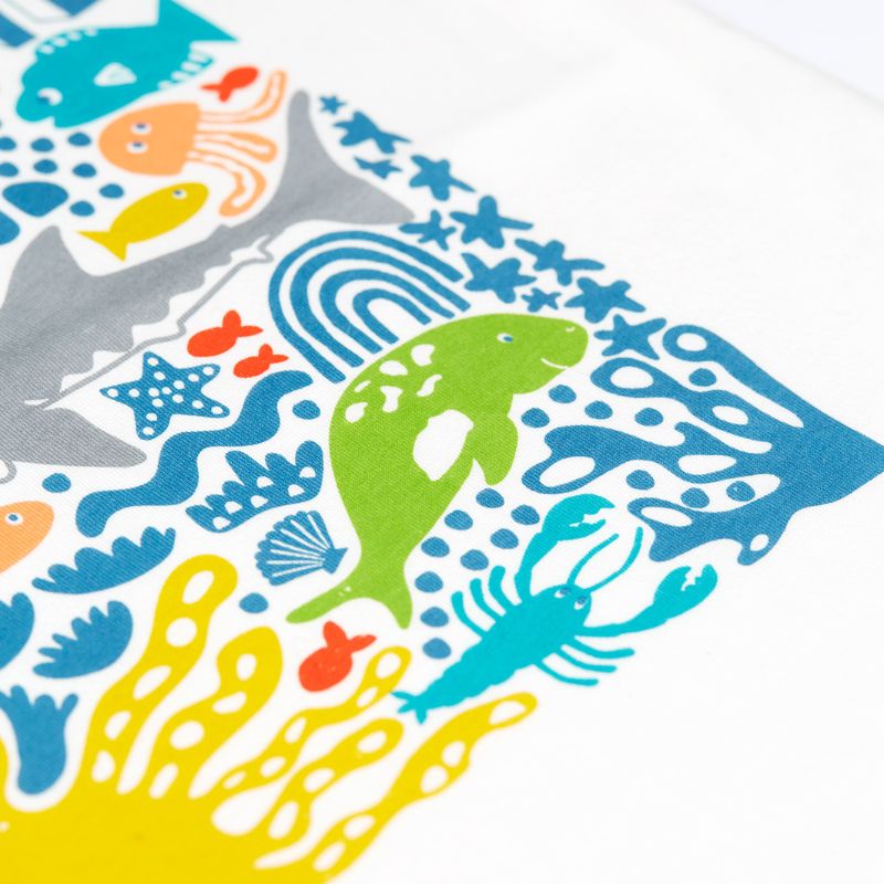 Frugi Reid Raglan T-shirt - Soft White/Jawsome