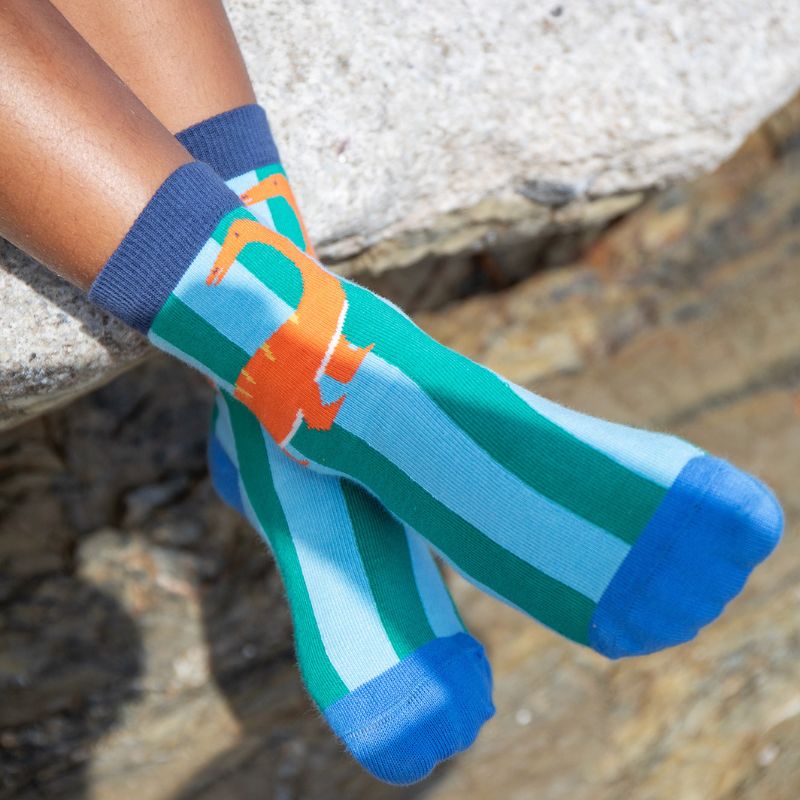 Frugi Rock My Socks - 3 Pack - Dino-Roar Multipack