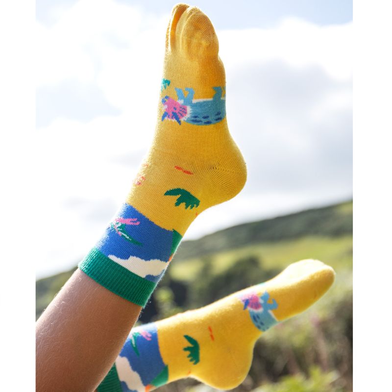 Frugi Rock My Socks - 3 Pack - Dino-Roar Multipack