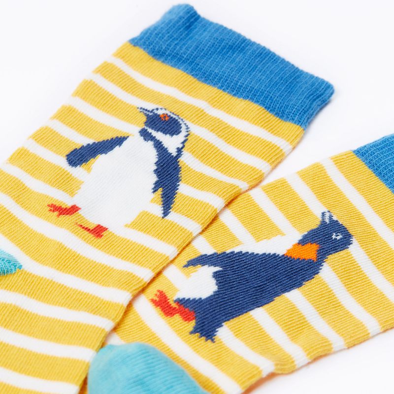 Pair of socks with penguin design on a yellow and blue striped background