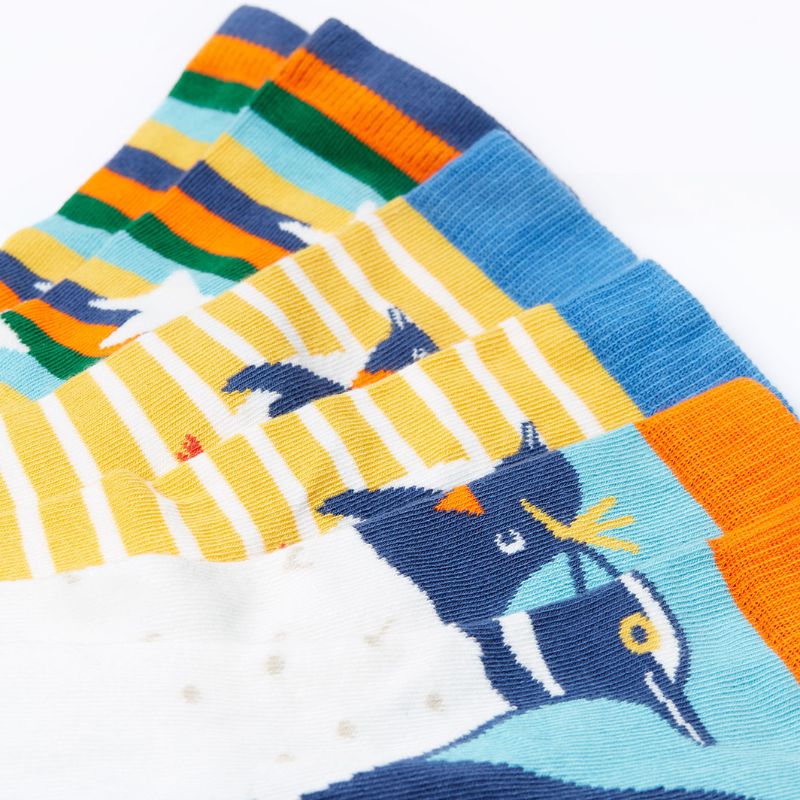 Colorful socks with bird design on a white background
