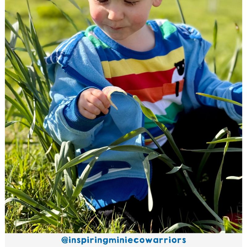 Toby Tiger Rainbow Sheep Pocket Appliqué T-shirt