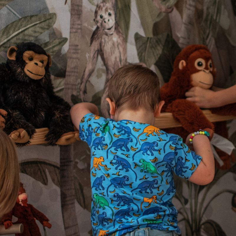 Villervalla Monkey T-Shirt - Bay Blue