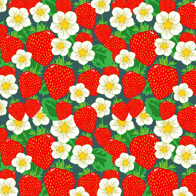 Beb &amp; Ooo Organic T-shirt - Strawberries