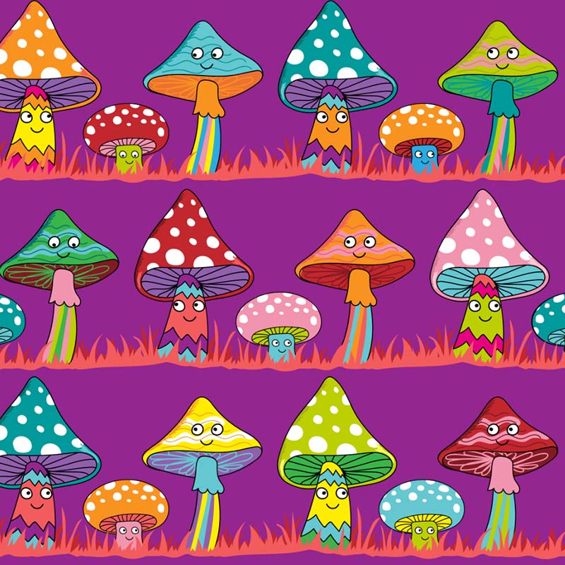 Beb &amp; Ooo Organic T-shirt - Magical Mushrooms