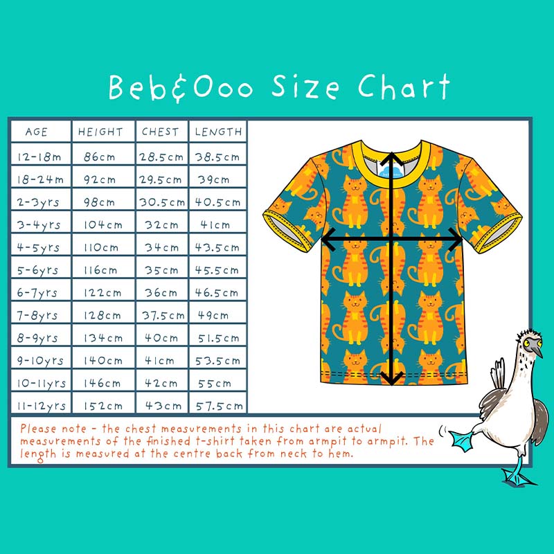 Beb &amp; Ooo Organic T-shirt - Frog Lake