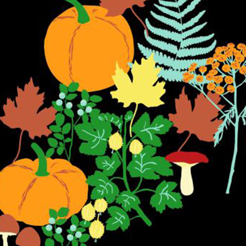 DUNS Sweden Kids Autumn Garden with Pumpkins T-shirt - Black (Last one! 10-11y)