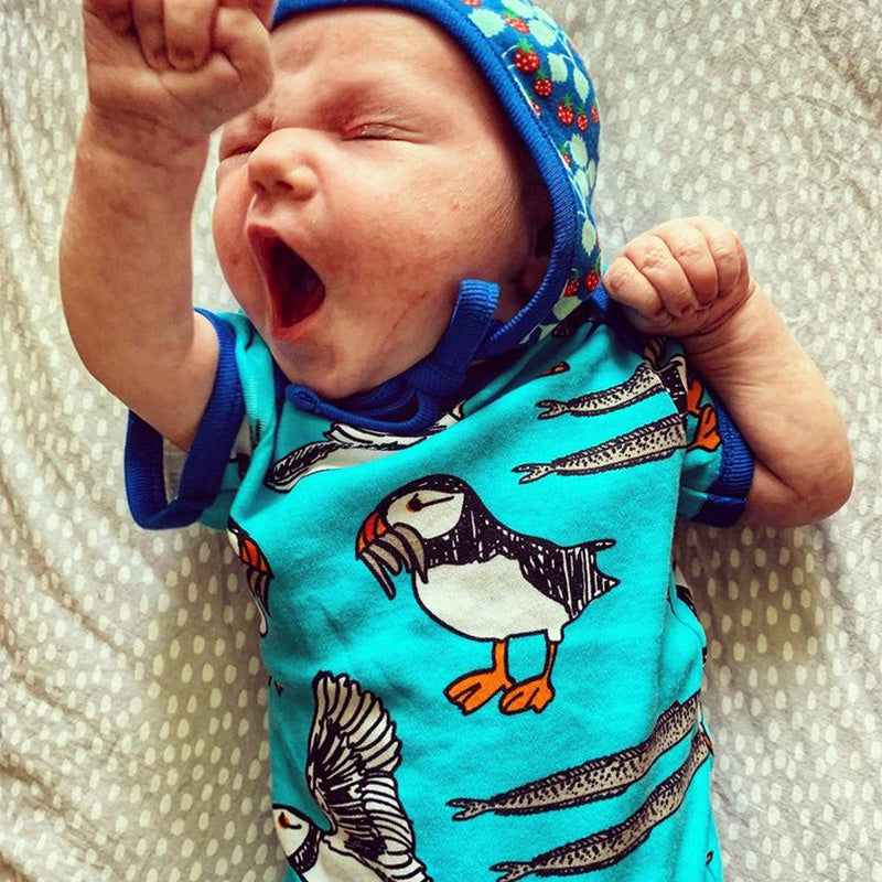 DUNS Sweden Strawberry Bonnet - Blue