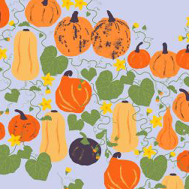 DUNS Sweden Cucurbits Kitchen Pot Holder - Light Purple