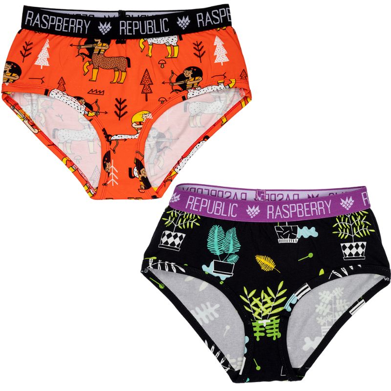 30 off Raspberry Republic Womens Briefs Pack of 2 Enchanted