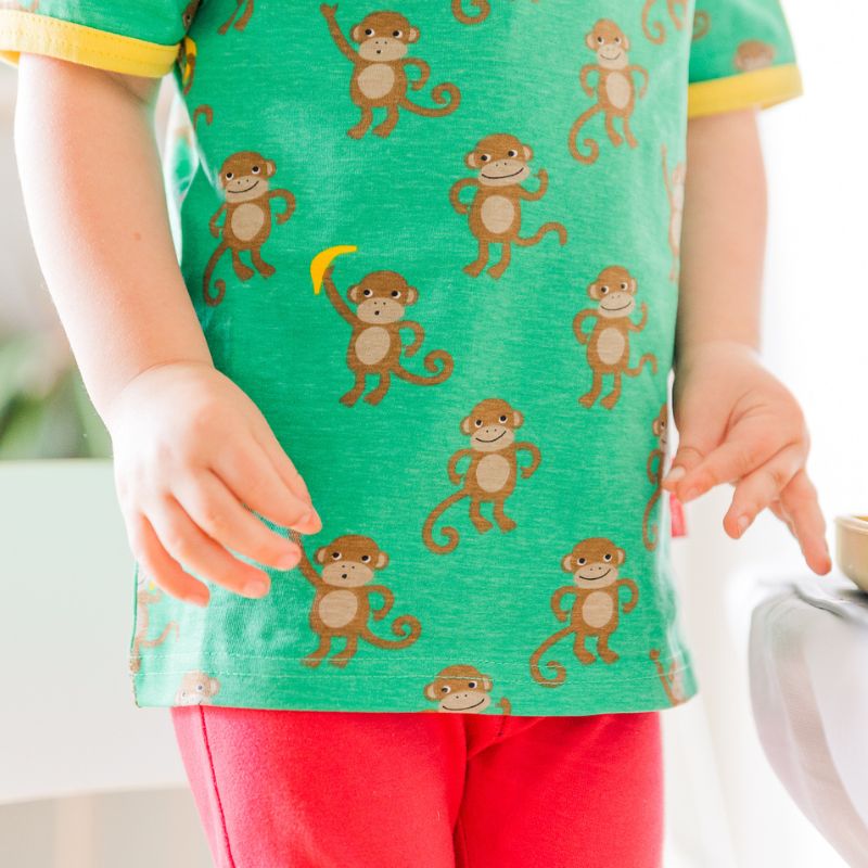 Toby Tiger Monkey T-shirt