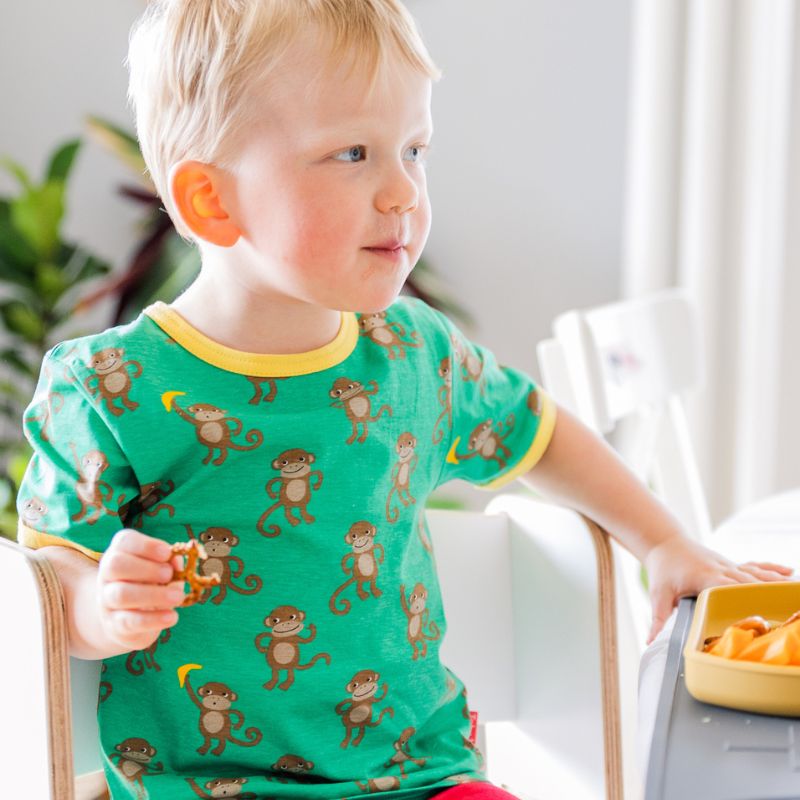 Toby Tiger Monkey T-shirt