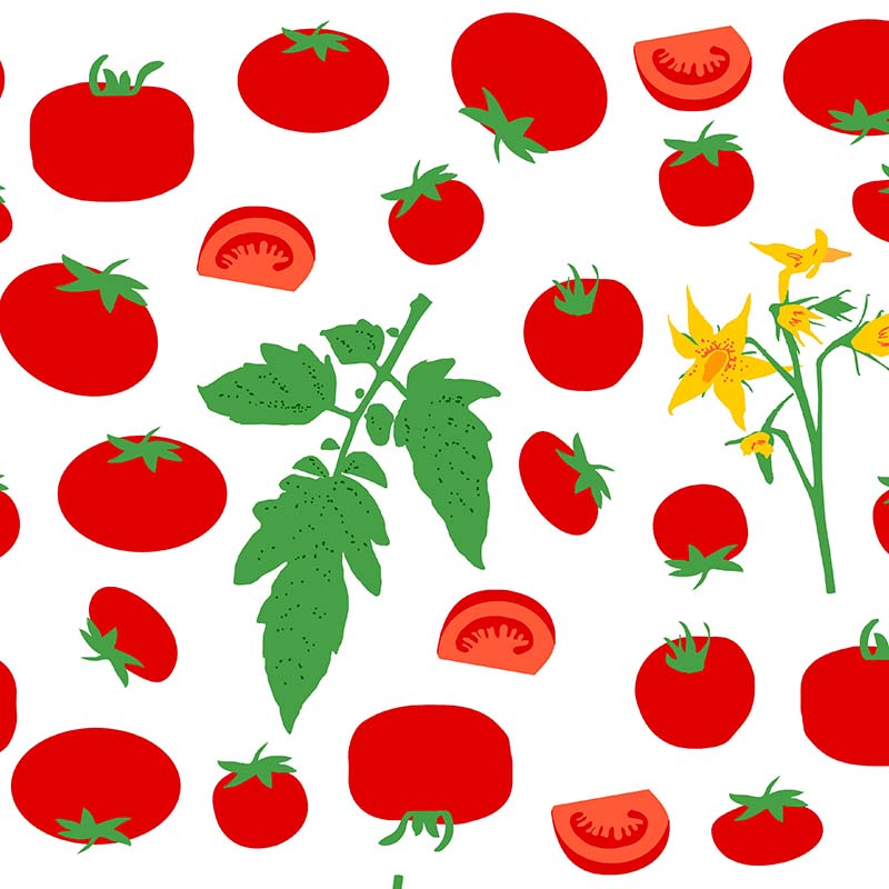 DUNS Sweden Tomatoes Kitchen Oven Mitt